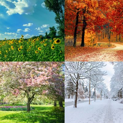 Four seasons